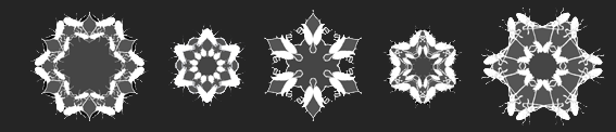 Snow Beetles