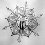 Snow Beetles