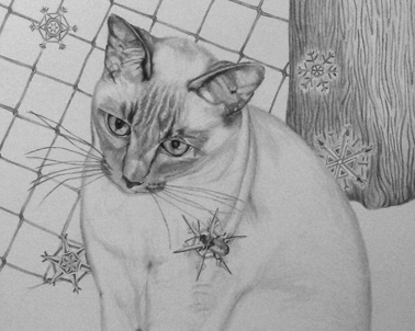Snowflakes on whiskers